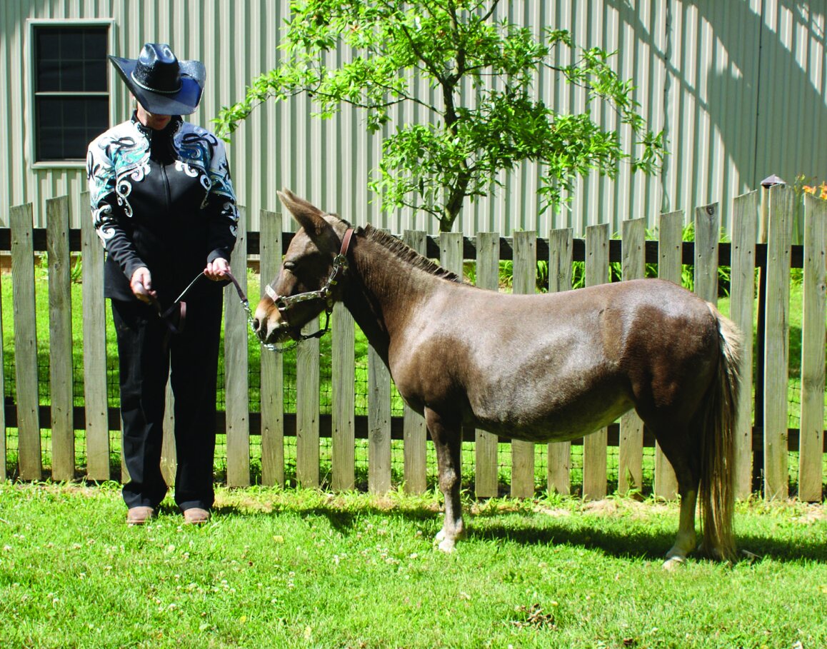 Mimi mules hotsell